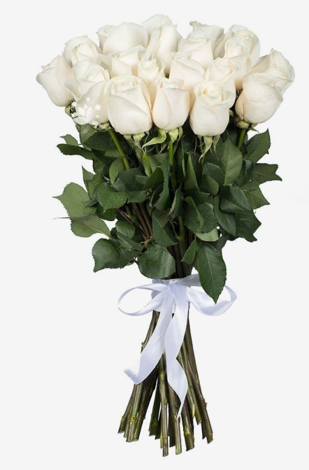 25 Λευκά Τριαντάφυλλα