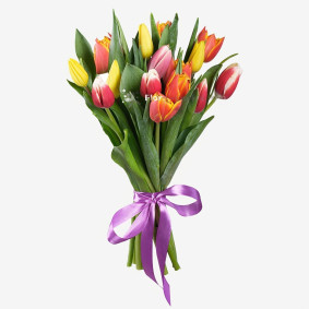 Bouquet of 15 Tulips Image