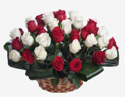 Καλάθι με κόκκινα και λευκά τριαντάφυλλα